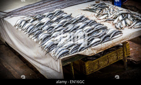 Poisson cru au marché marocain à Essaouira vieille ville Banque D'Images