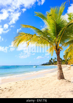 Belle plage des Caraïbes sur l'île de Saona, République Dominicaine Banque D'Images