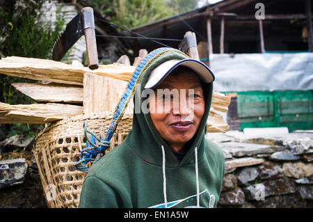 Homme transporter le bois, de l'Annapurna, Népal, Asie Banque D'Images