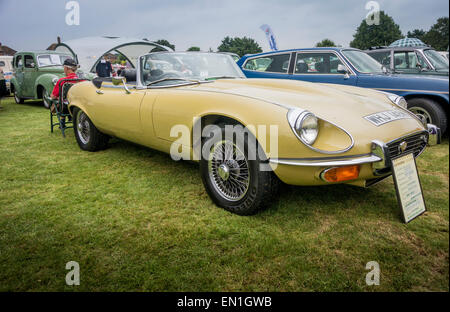 Jaguar Type E un convertible dans la couleur de l'or du désert Banque D'Images