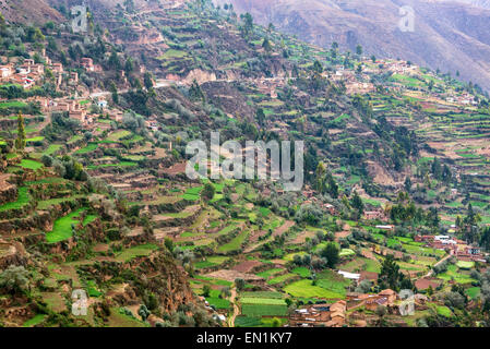 Terrasses agricoles luxuriantes à Tarma, Pérou Banque D'Images