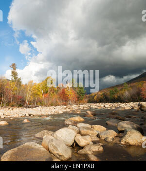 Faits saillants de l'automne soleil arbres en nuages sombres se rassemblent sur la pittoresque rivière Pemigewasset, cool, Route 112, Bear Notch. Banque D'Images