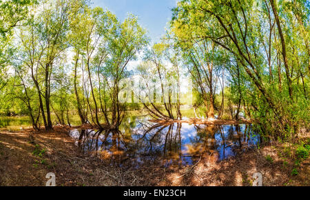 Paysage ultra large panorama du lac Banque D'Images