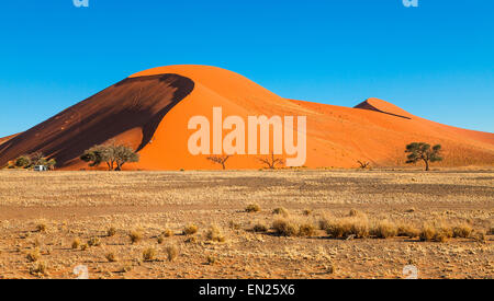 Dune 45 dans la lumière de l'après-midi, Sossusvlei, Namibie. Banque D'Images