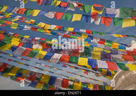 Le Népal, Katmandou, Boudhnath Boudah, Temple bouddhiste (16ème siècle), plus grand Stupa du Népal avec les drapeaux de prières Banque D'Images