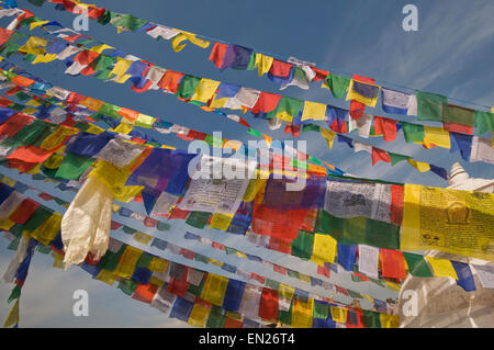 Le Népal, Katmandou, Boudhnath Boudah, Temple bouddhiste (16ème siècle), plus grand Stupa du Népal avec les drapeaux de prières Banque D'Images