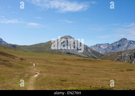 Cime del Serraglio sommet Suisse Alpes Val Mustair Engadin pâturage de montagne avec de l'herbe rouge et le chemin Banque D'Images