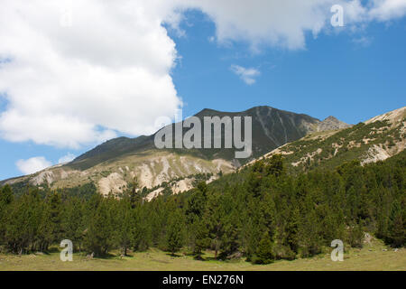 Piz Dora Val Mora Val Mustair Engadin Suisse Alpes pic de montagne avec des forêts Banque D'Images