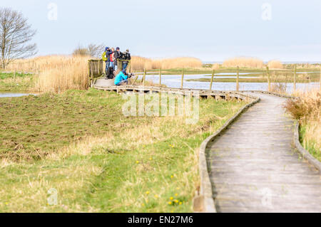 Bejershamn, Suède - 25 Avril 2015 : Photographe et ornithologues sur pont en bois à la recherche sur les oiseaux migrateurs dans les zones humides qu'ils arrivent au début du printemps. Bejershamn est une réserve naturelle protégée connu pour ses oiseaux. Banque D'Images