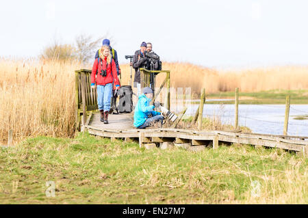 Bejershamn, Suède - 25 Avril 2015 : Photographe et ornithologues sur pont en bois à la recherche sur les oiseaux migrateurs dans les zones humides qu'ils arrivent au début du printemps. Bejershamn est une réserve naturelle protégée connu pour ses oiseaux. Banque D'Images