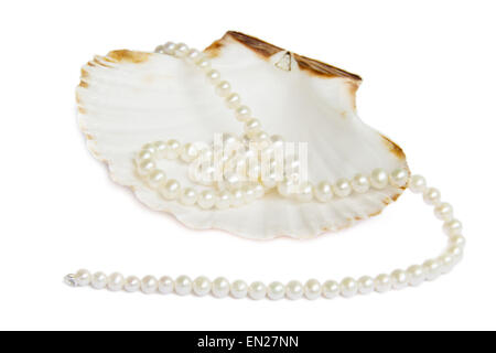 Collier de perles de coquillages de mer plus on white Banque D'Images