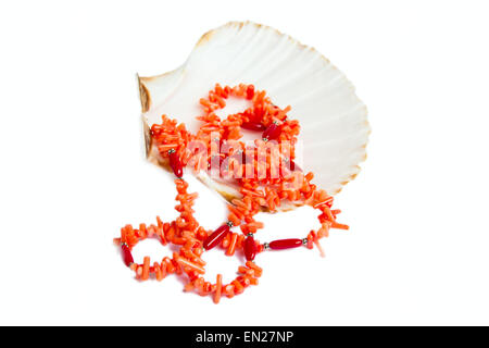 Collier de corail sur sea shell on white Banque D'Images