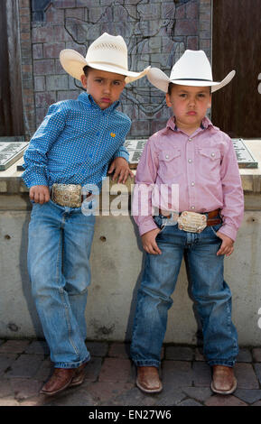 Stampede Cow-boy de Galgary, Canada Banque D'Images