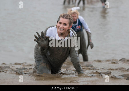 Maldon, Essex, 26 Avr, 2015. concurrent heureux d'être à proximité de l'assemblée annuelle de finition Maldon mud race Crédit : Darren Attersley/Alamy Live News Banque D'Images