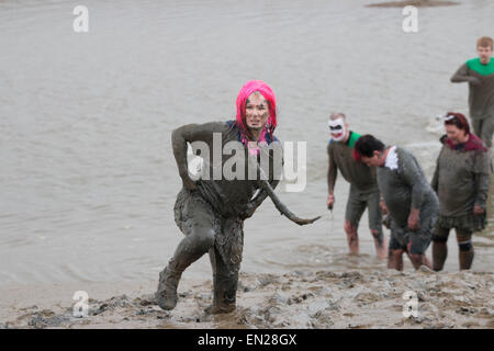 Maldon, Essex, 26 Avr, 2015. concurrent déterminé à terminer la course annuelle de Maldon mud Crédit : Darren Attersley/Alamy Live News Banque D'Images