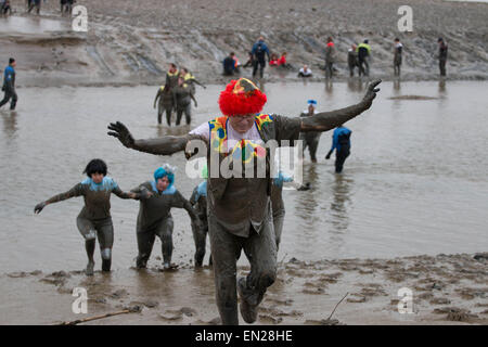 Maldon, Essex, 26 Avr, 2015. concurrents célébrer la finition boue Maldon annuel Crédit : Darren Attersley course/Alamy Live News Banque D'Images