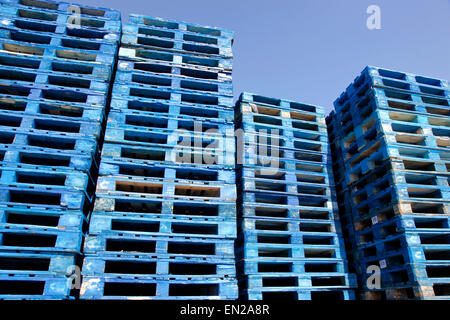 Un grand nombre de palettes en bleu soleil avec ciel bleu Banque D'Images