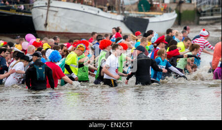 Maldon, Essex, 26 Avr, 2015. concurrents griffant déclenché lors de l'assemblée annuelle de la boue Maldon la race. Crédit : Darren Attersley/Alamy Live News Banque D'Images