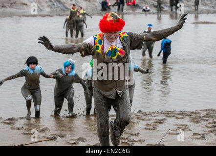 Maldon, Essex, 26 Avr, 2015. concurrents célébrer la finition boue Maldon annuel Crédit : Darren Attersley course/Alamy Live News Banque D'Images