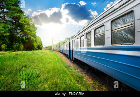 Wagon de train et forêt de pins de Banque D'Images