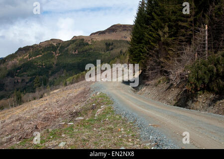 Chemin forestier sur la colline surplombant le Loch Lubnaig. parc national des Trossachs, Ecosse Banque D'Images