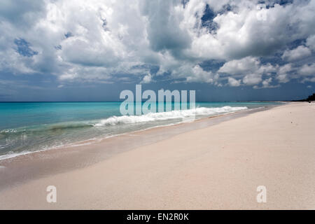 Plage de sable rose, Barbuda, Leeward Islands, Caribbean Banque D'Images
