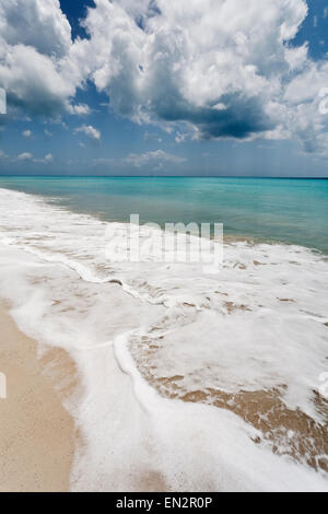 Plage de sable rose, Barbuda, Leeward Islands, Caribbean Banque D'Images