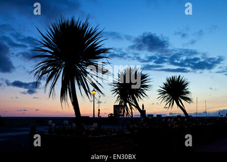 Herne Bay, Kent, UK. 27 avril 2015 : Météo France. Avant l'aube, glow sur Herne Bay seafront de palmiers se découpant contre le ciel tôt le matin. Après les averses de dimanche les prochains jours seront très bien dans le sud-est Banque D'Images