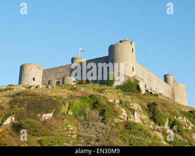 Château de Harlech Gwynedd au Pays de Galles UK Banque D'Images