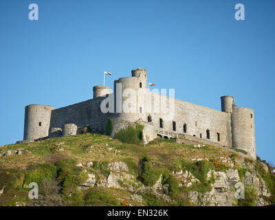 Château de Harlech Gwynedd au Pays de Galles UK Banque D'Images