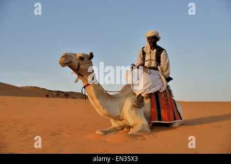 L'homme sur le chameau, Méroé, Nubia, l'État du Nil, au Soudan Banque D'Images