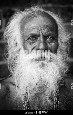 Vieux Sadhu avec une barbe blanche et cheveux blancs, portrait, Karaikudi, Tamil Nadu, Inde du Sud, Inde Banque D'Images