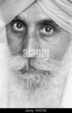 Homme sikh, portrait, Amritsar, Punjab, Inde du Nord, Inde Banque D'Images