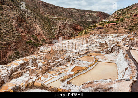 Salines dans la Vallée Sacrée des Incas sur l'Urubamba, près de Maras, Pérou Banque D'Images