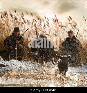 Les hommes La chasse aux canards avec leur labrador retriever Banque D'Images