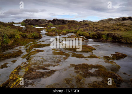 Rivière qui traverse le paysage volcanique en Islande Banque D'Images