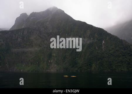 Milford Sound, Nouvelle Zélande, fonction. 3ème apr 2015. Milford Sound, Nouvelle Zélande - 3 avril 2015 - Les kayakistes bénéficiant la réserve marine le 3 avril 2015 à Milford Sound, Nouvelle Zélande, fonction. © dpa/Alamy Live News Banque D'Images