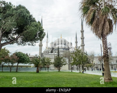 La mosquée bleue, Istanbul, Turquie Banque D'Images