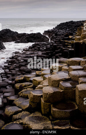 Une vue sur les rochers à Giant's Causeway dans le comté d'Antrim, sur la côte nord-est de l'Irlande du Nord. Credit : Euan Cherry Banque D'Images