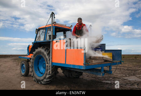 Southport, Merseyside, le 4 avril, 2015. John Rimmer un camion-voile Shrimper crevettes bouillante de ses captures, ils sont ensuite épluchés avant d'être envoyé à l'entreprise et de marché. Southport a toujours eu une histoire de pêche, y compris la pêche de la crevette, qui a été effectuée à Southport et districts voisins pendant des siècles. Références pour il peut être trouvé aussi loin que 1113 pour la pêche dans la paroisse de North Meols. Chariots ou des véhicules mécaniques de chaluts derrière les bateaux ou les tracteurs, connu sous le nom de 'shanking'. Banque D'Images