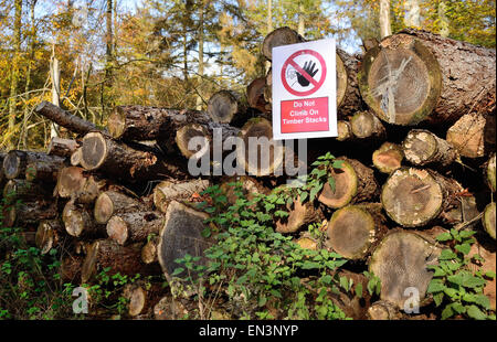 Avis d'alerte sur la pile de bois dans la forêt. Banque D'Images