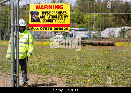 Bristol, Royaume-Uni. Apr 27, 2015. Un vieux chêne, qui a été occupée par des manifestants pendant plusieurs semaines avant qu'ils ont été expulsés, est coupé en regardant de derrière une barrière de sécurité. Belinda, de Delage le groupe qui a essayé de protéger le champ vert-site, l'a décrit comme un "jour ad'. Cette partie du développement Metrobus a été controversée au cours d'une année que Bristol est la capitale verte européenne. Bristol, Royaume-Uni. 27 avril 2015. Credit : Redorbital Photography/Alamy Live News Banque D'Images