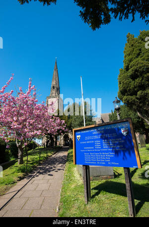 Fleur de printemps à l'Église Toussaint de Gedling, Nottingham Nottinghamshire England UK Banque D'Images