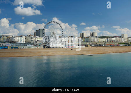 Vue sur la plage de Brighton avec la roue de Brighton. East Sussex, England, UK Banque D'Images