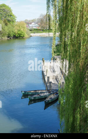 Shrewsbury, Shropshire : La rivière Severn et la carrière est un parc très populaire auprès des habitants et visiteurs de Shrewsbury Banque D'Images