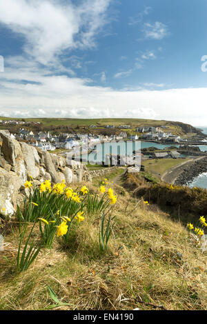 Portpatrick au printemps, Dumfries et Galloway, en Écosse. Banque D'Images