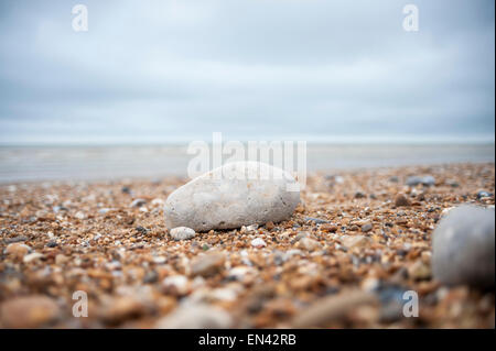 Eastbourne, Royaume-Uni. 25 avril, 2015. Météo France : un close-up d'un gros galet sur la plage sur une agréable après-midi de printemps à Eastbourne sur la côte sud de l'Angleterre . © Stephen Chung / Alamy Live News Banque D'Images