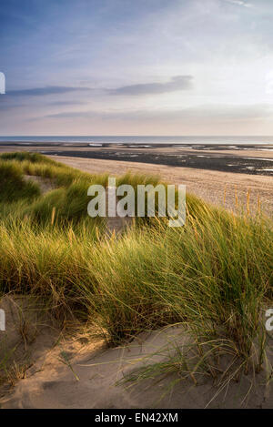 Soir paysage estival sur les dunes de sable sur plage Banque D'Images