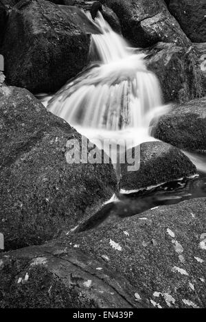 Becky Falls Cascade paysage dans le parc national du Dartmoor en Angleterre noir et blanc Banque D'Images