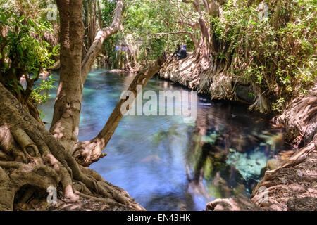 Kikuletwa Hot spring en Chemka ville, ville de Moshi, Tanzania, Africa Banque D'Images